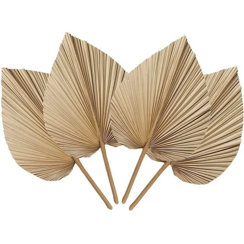 Conjunto de 4 Folhas de Palmeira Secas – Decoração Boho Natural para Casa, Casamentos e Eventos