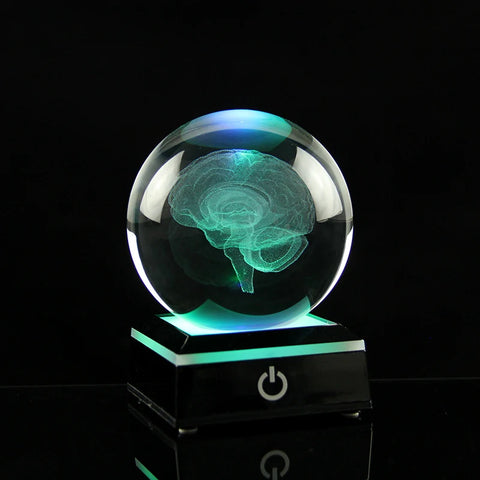 Esfera de Cristal 3D Laser Gravada Modelo do Cérebro